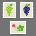 Vector postage stamps with grape bunch icons Royalty Free Stock Photo