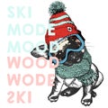 Vector poster with close up portrait of beagle dog.Ski mode mood. Puppy wearing beanie, scarf and snow goggles.