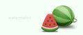 Vector poster with 3D watermelon. Whole juicy vegetable and slice Royalty Free Stock Photo