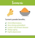 A vector poster or informative leaflet of an Indian herb, it`s powder and benefits in vector - Turmeric root - Vector Royalty Free Stock Photo