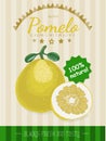 Vector poster with a pomelo