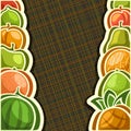 Vector poster for set fresh Fruits Royalty Free Stock Photo