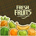 Vector poster for set Fresh Fruits Royalty Free Stock Photo