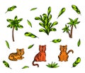 Tigers and tropical palm leaves