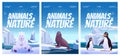 Vector posters with penguin, polar bear and seal