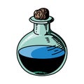 vector potion bottle, poison flask, halloween and witch elements, isolated cartoon style