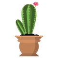 Vector potted cool bright scarlet flowering cactus in cute brown flower pot isolated on white Royalty Free Stock Photo