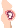 Vector of pregnant woman with baby inside womb Royalty Free Stock Photo