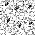 Seamless fruit pattern. Vector print with lemon, apple, blackberry, pear and peach. Royalty Free Stock Photo