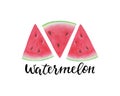 Vector print with watermelon slice. The inscription, lettering watermelon. design for holiday greeting card and invitation of Royalty Free Stock Photo