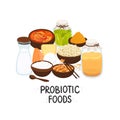 Vector probiotic foods. Best sources of probiotics. Beneficial bacteria improve health. Design is for label, brochure