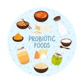 Vector probiotic foods. Best sources of probiotics. Beneficial bacteria improve health. Design is for label, brochure