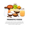 Vector probiotic foods. Best sources of probiotics. Beneficial bacteria improve health