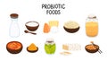 Vector probiotic foods. Best sources of probiotics. Beneficial bacteria improve health. Isolated elements is for label