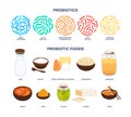 Vector probiotic foods. Best sources of probiotics. Beneficial bacteria improve health. Isolated elements