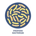 Vector probiotics in circular shape. Propionibacterium. Microbiome. Medicine or dietary supplement