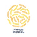 Vector probiotics in circular shape. Propionibacterium. Microbiome. Medicine or dietary supplement