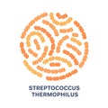 Vector probiotics in circular shape. Streptococcus thermophilus. Microbiome. Medicine or dietary supplement