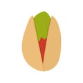 Vector product walnut pistachio icon