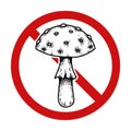 Vector prohibition sign. Do not pick poisonous mushrooms. Danger of being poisoned. Fly agaric sketch with hatching in forbidden