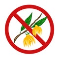 Vector prohibition sign with ylang ylang. Forbidding sign with a flower on a branch and foliage. Danger of allergies Royalty Free Stock Photo