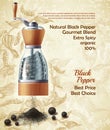 Vector promo banner of black pepper natural spice