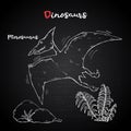 Vector Pterosaur with plant and stone on chalk blackboard.