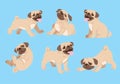 Pug dog cartoon set Royalty Free Stock Photo