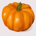 Vector pumpkin