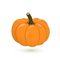 Vector pumpkin illustration isolated on white background.
