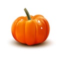 Vector pumpkin isolated