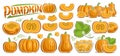 Vector Pumpkin Set Royalty Free Stock Photo