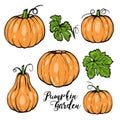 Vector pumpkin set for Halloween with green leaves and typography Royalty Free Stock Photo