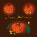 Vector Pumpkin Set. Happy halloween Royalty Free Stock Photo