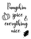 Vector pumpkin spice and everything nice. Royalty Free Stock Photo