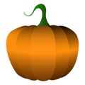 Vector pumpkins isolated on a white background.