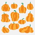 vector pumpkins