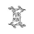 Vector Pure Mint Label, Black Outline Doodle Typography Element, Hand Drawn Leaves Frame with Lattering.