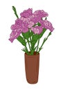 Vector purple carnation bunch in ceramic vase Royalty Free Stock Photo