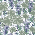 Vector purple and green grapes seamless pattern print background. Royalty Free Stock Photo
