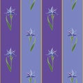 Vector purple seamless pattern background: Classic Iris Stripes. Royalty Free Stock Photo