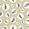 Vector Quail Birds in Black, Brown, Gray, White in Circles on Beige Background Seamless Repeat Pattern. Background for