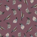 Vector Quail Birds in Brown Black White Gray on Purple Background Seamless Repeat Pattern. Background for textile, book