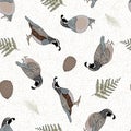 Vector Quail Birds, Ferns and Pinecones on Beige Background Seamless Repeat Pattern. Background for textile, book covers