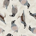 Vector Quail Birds and Plants Pinecones on Beige Background Seamless Repeat Pattern. Background for textile, book covers