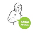 Vector Rabbit Farm