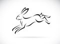 Vector of rabbit running design on white background. Easy editable layered vector illustration. Wild Animals
