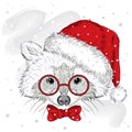 Vector raccoon . Cute raccoon vector . Raccoon painted by hand. Raccoon in a Christmas hat and glasses. Winter postcard. Print . W