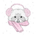 Vector raccoon . Cute raccoon vector . Raccoon painted by hand. Raccoon in the winter scarf and headphones . Winter postcard. Prin Royalty Free Stock Photo