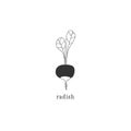 Vector radish icon. Vegetables. Isolated hand drawn object. Healthy nutrition, vegetarians, vegans.